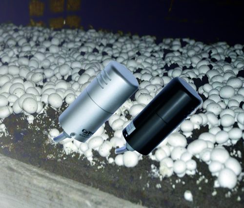 Media.Category.ImageAlternateTextFormat