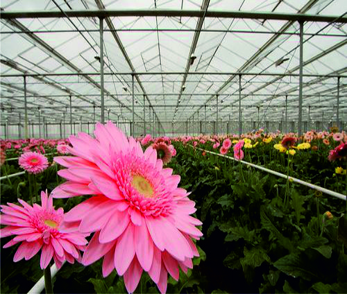 Media.Category.ImageAlternateTextFormat