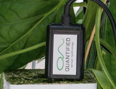 Media.Product.ImageAlternateTextFormat