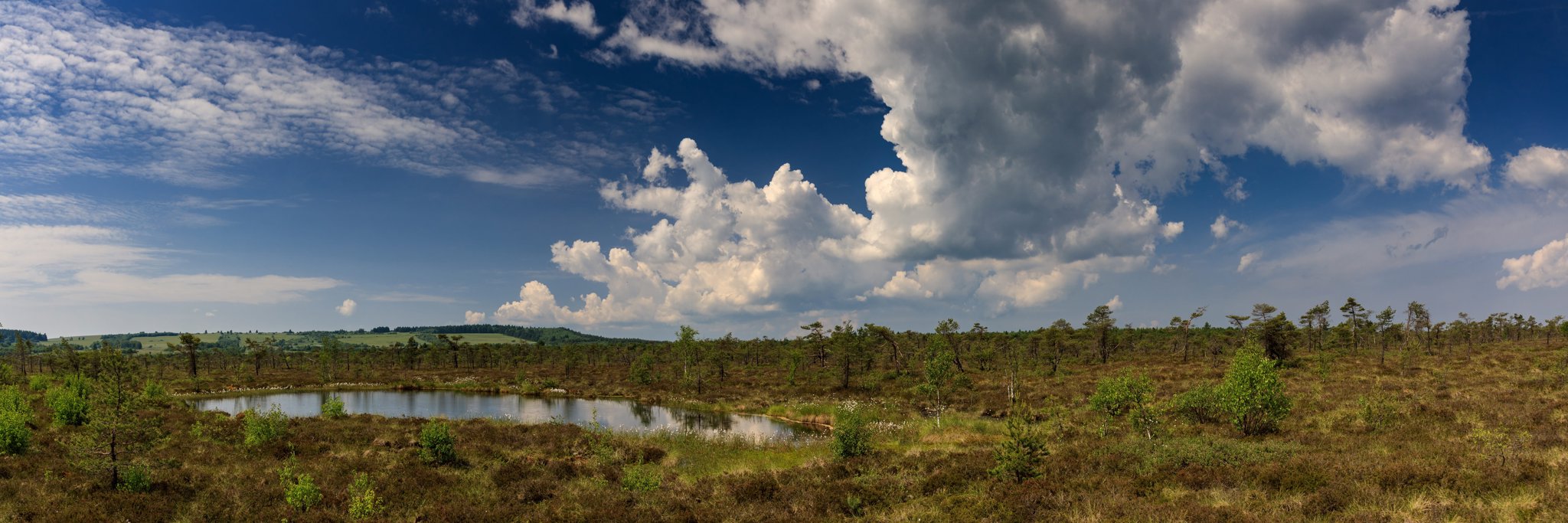 Veenwinning: meten wat er met het veen gebeurt