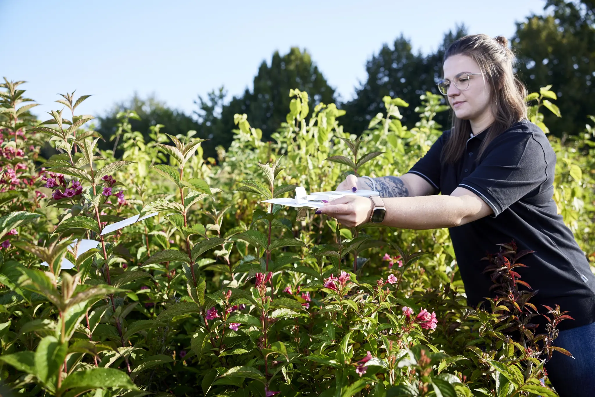 Plantfysiologie