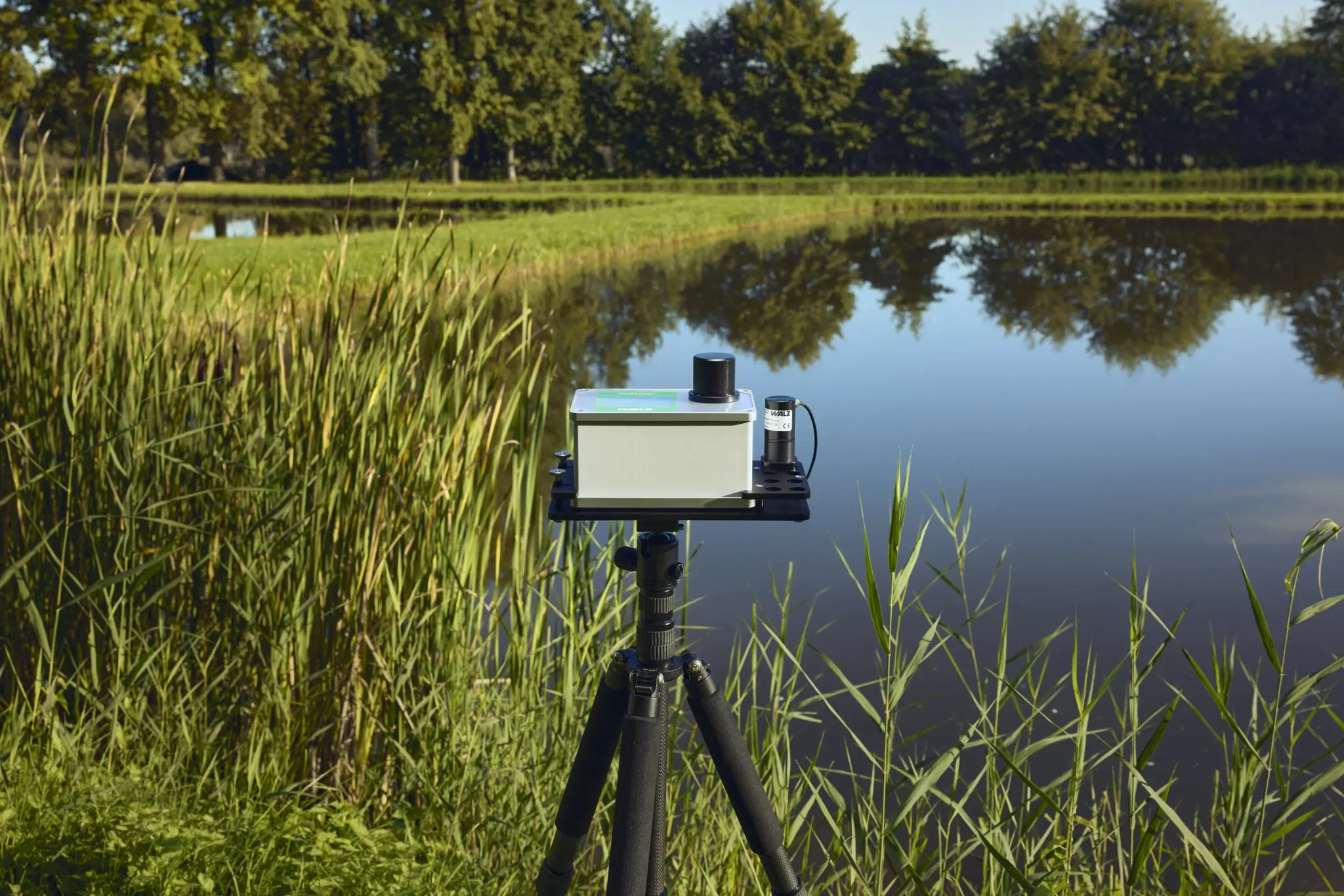 Chlorophyll - Fluorometer