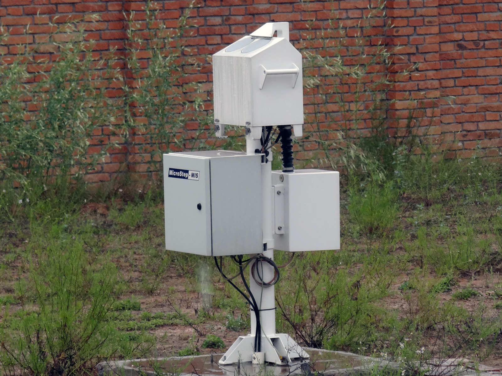 Media.Category.ImageAlternateTextFormat