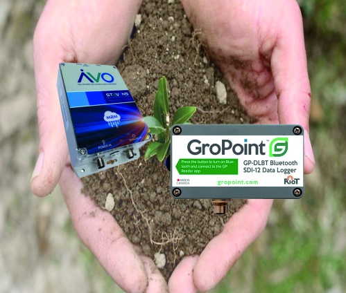 Media.Category.ImageAlternateTextFormat