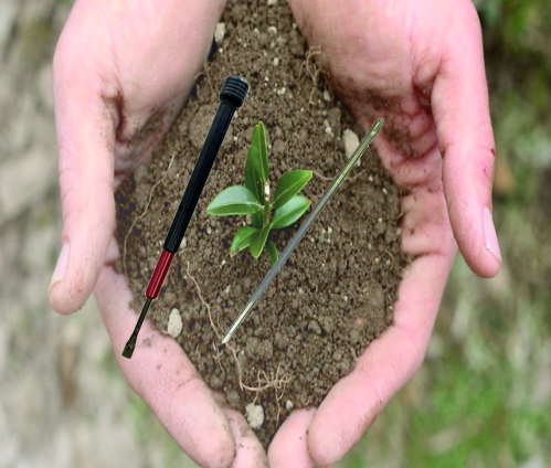 Media.Category.ImageAlternateTextFormat