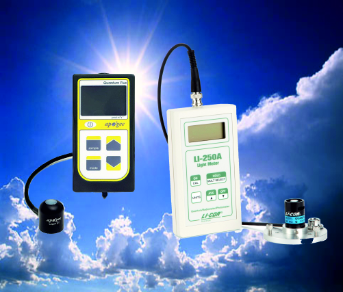 Media.Category.ImageAlternateTextFormat