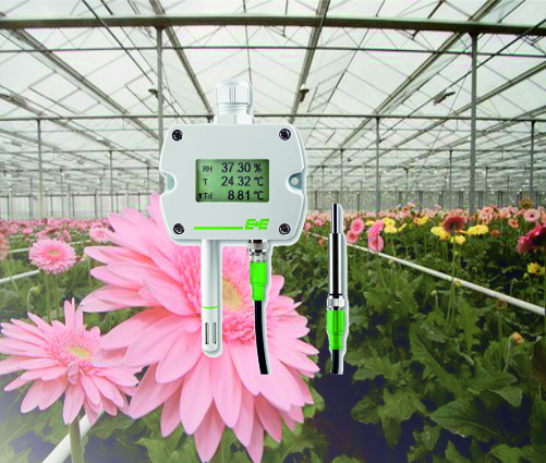 Media.Category.ImageAlternateTextFormat