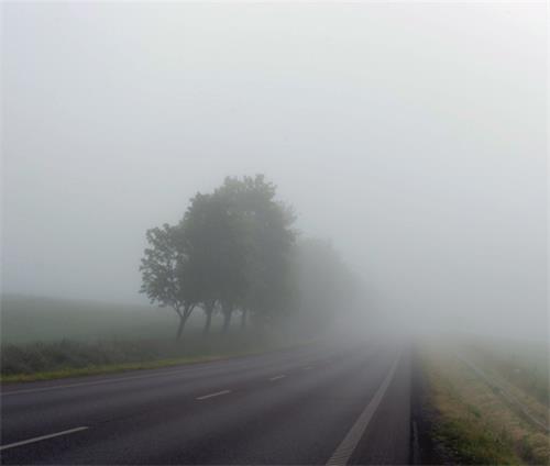 Mist Mist